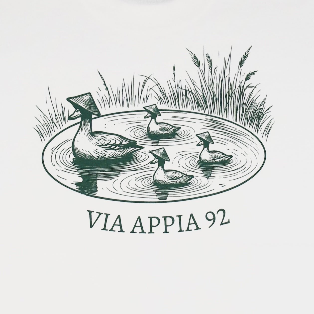 Duck pond - Via Appia 92