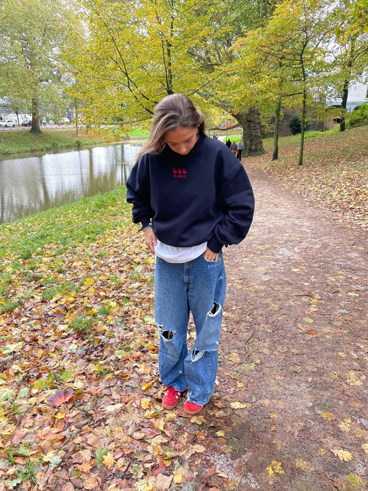 3 ducks sweat - Via Appia 92