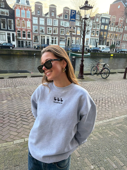 3 ducks sweat grey - Via Appia 92