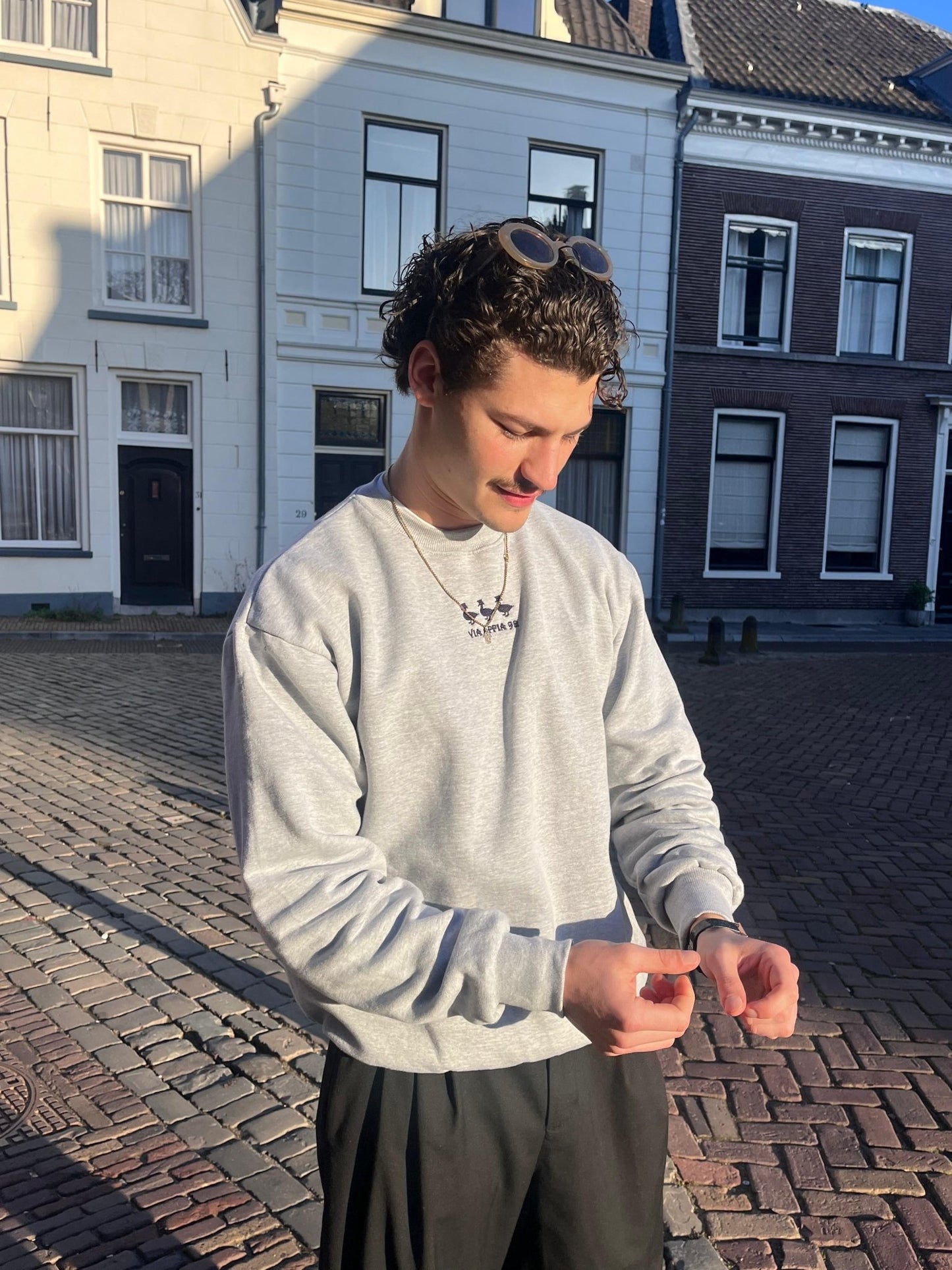 3 ducks sweat grey - Via Appia 92