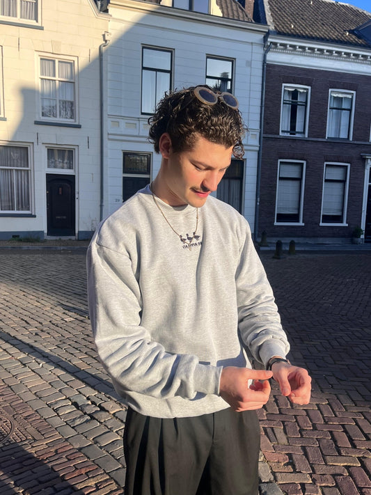 3 ducks sweat grey - Via Appia 92