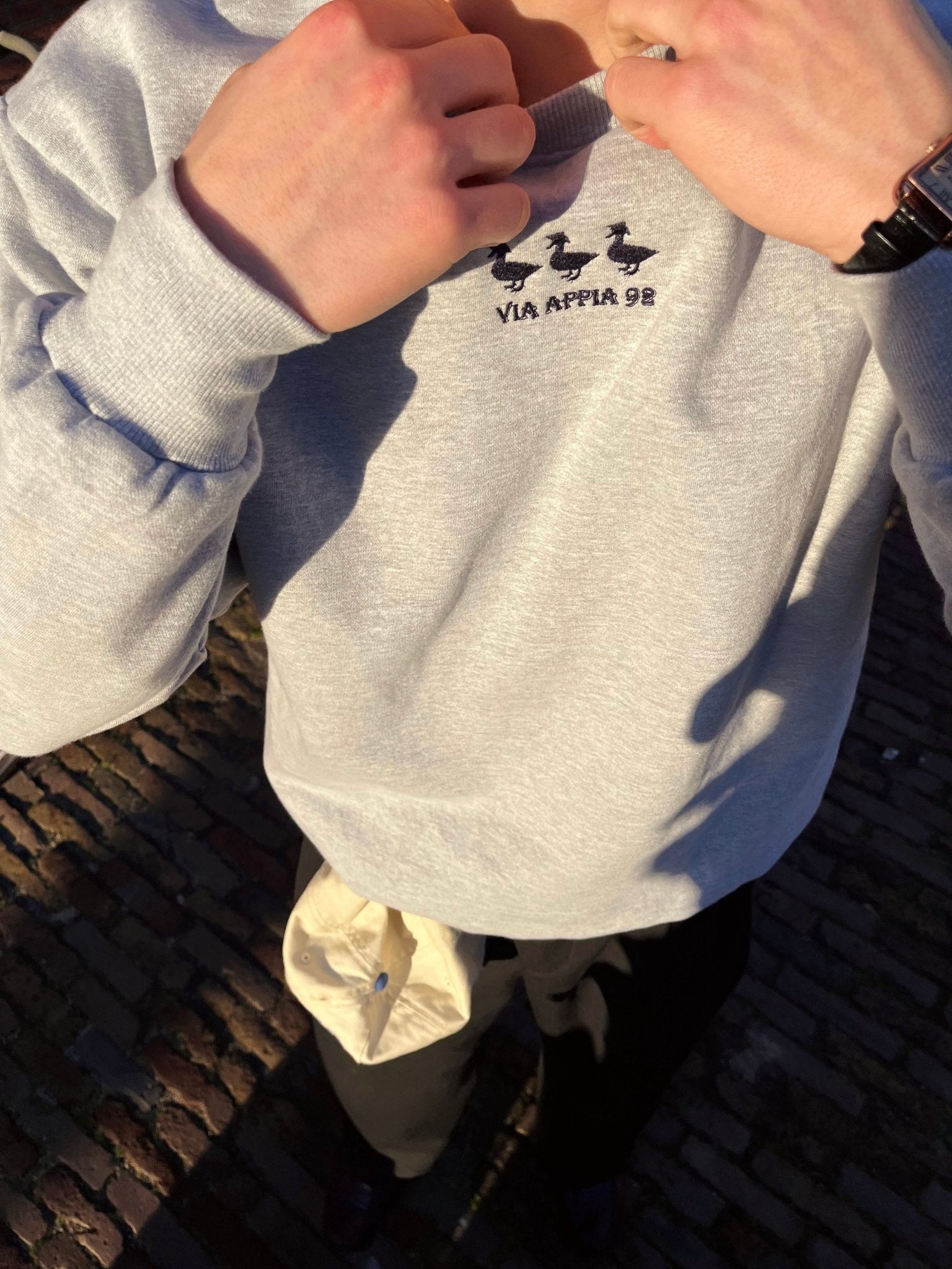 3 ducks sweat grey - Via Appia 92