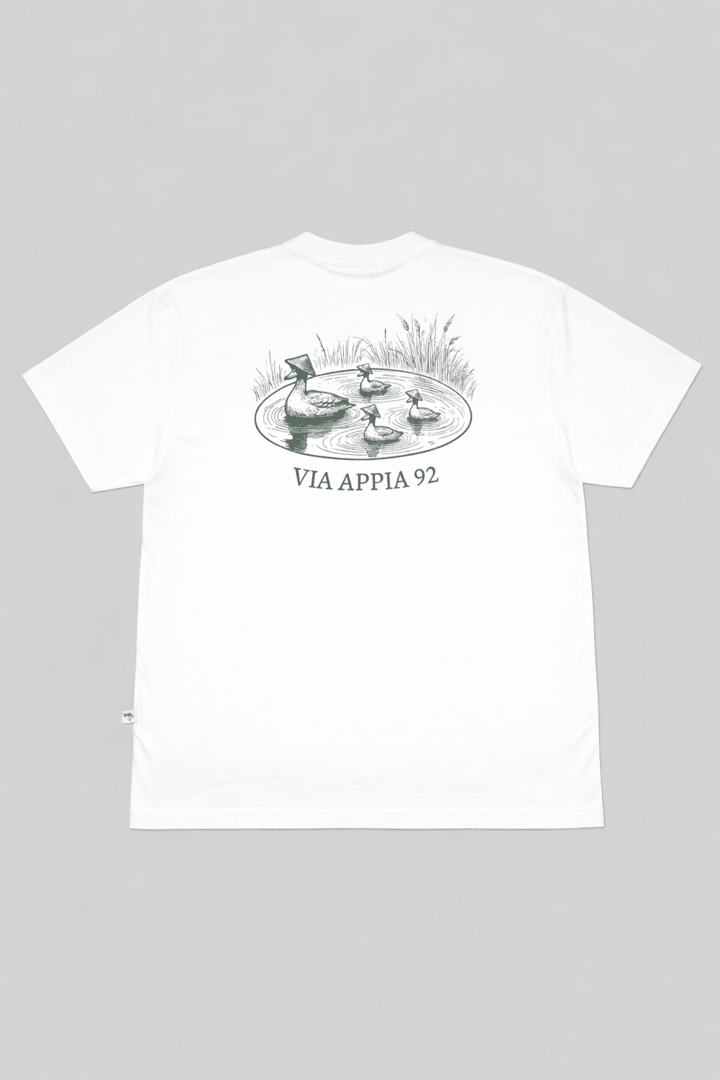Duck pond - Via Appia 92