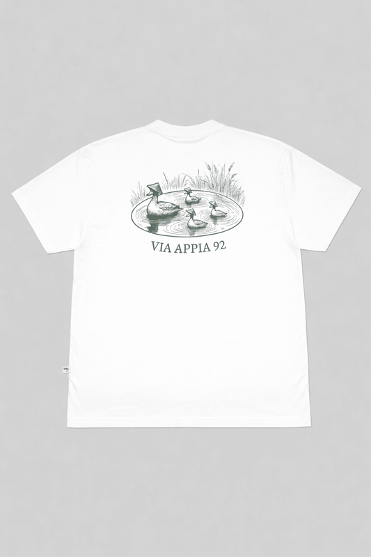 Duck pond - Via Appia 92