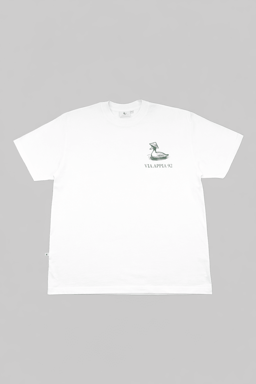 Duck pond - Via Appia 92